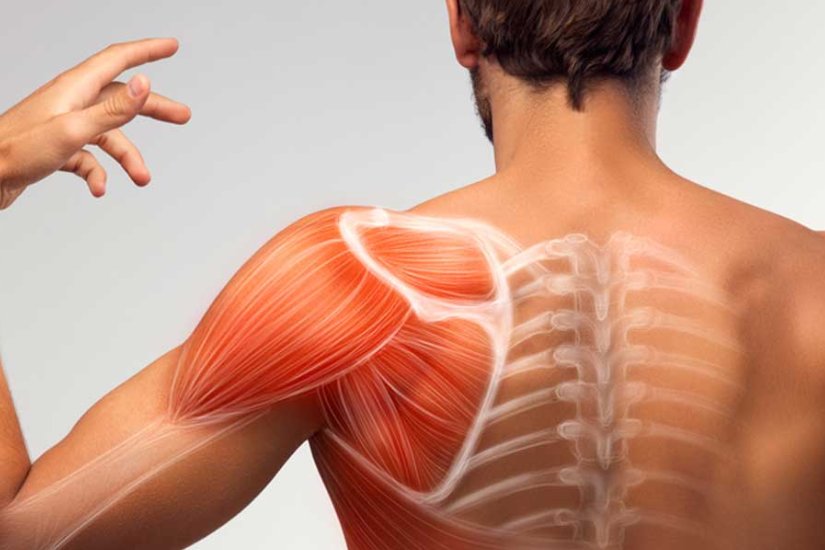 Müsküler Distrofiler ve Konjenital Miyopatiler Rehabilitasyonu